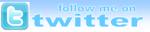 Twitter widget Twitter widget